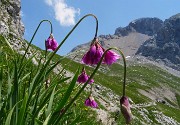 Sentiero dei fiori da Capanna 2000-10lu23